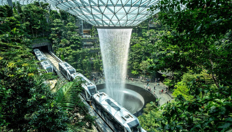 膜结构的艺术价值体现在哪些方面？