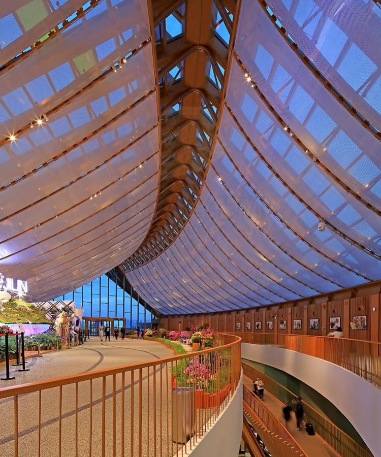 ETFE膜结构建筑 ETFE膜结构建筑