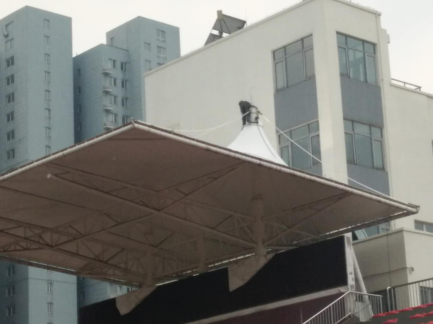 PVDF膜材为什么适合学校看台和球场？